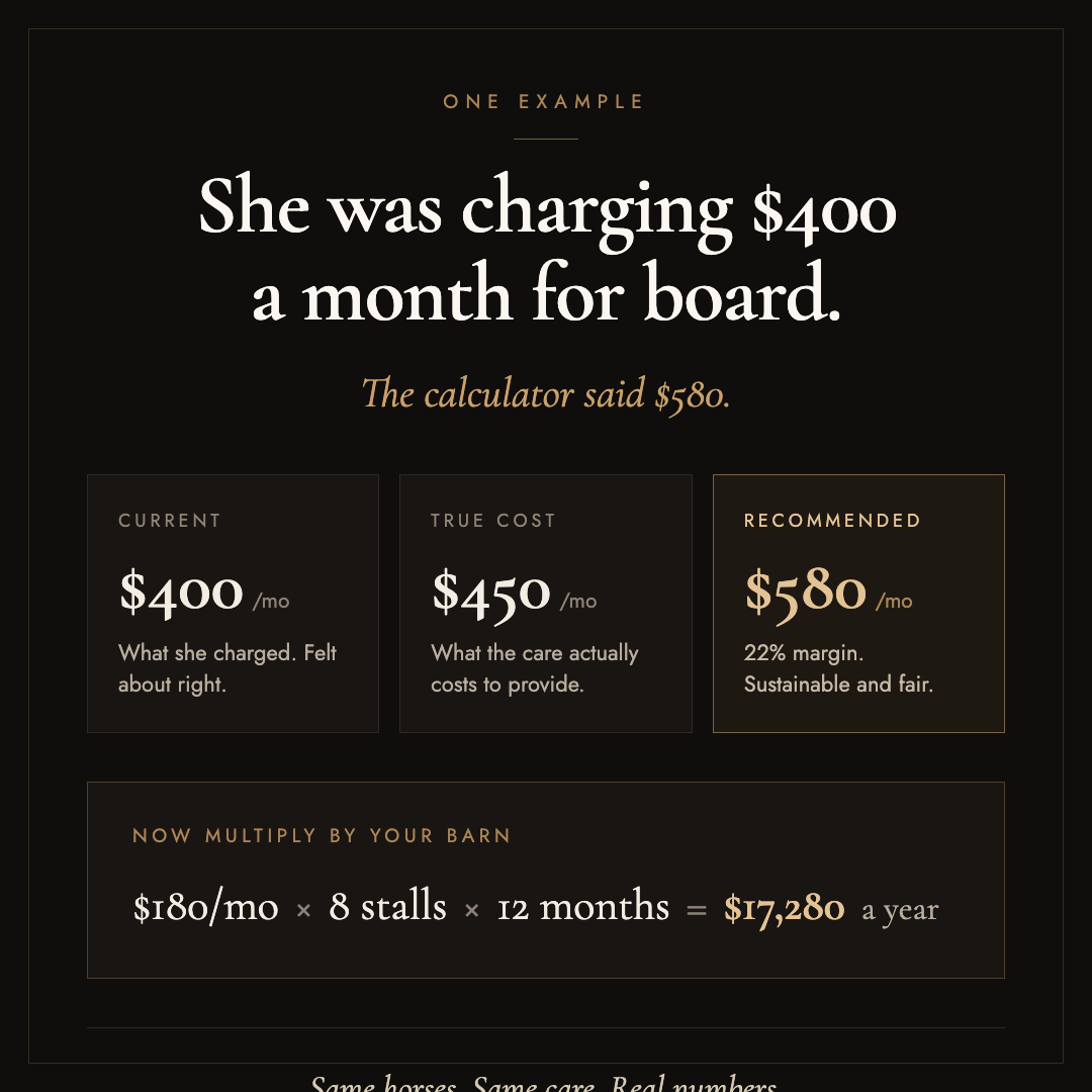Horse Business Pricing Calculator: Know What to Charge
