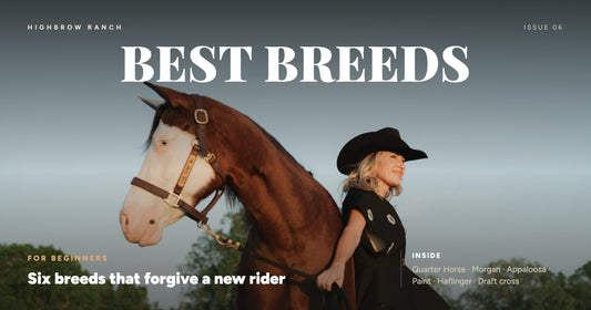Best first horse breeds for adult beginners — Highbrow Ranch in Caldwell, Texas