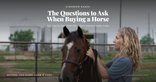 A woman haltering a bay horse with a white blaze while evaluating him at a Texas ranch — the questions to ask when buying a horse