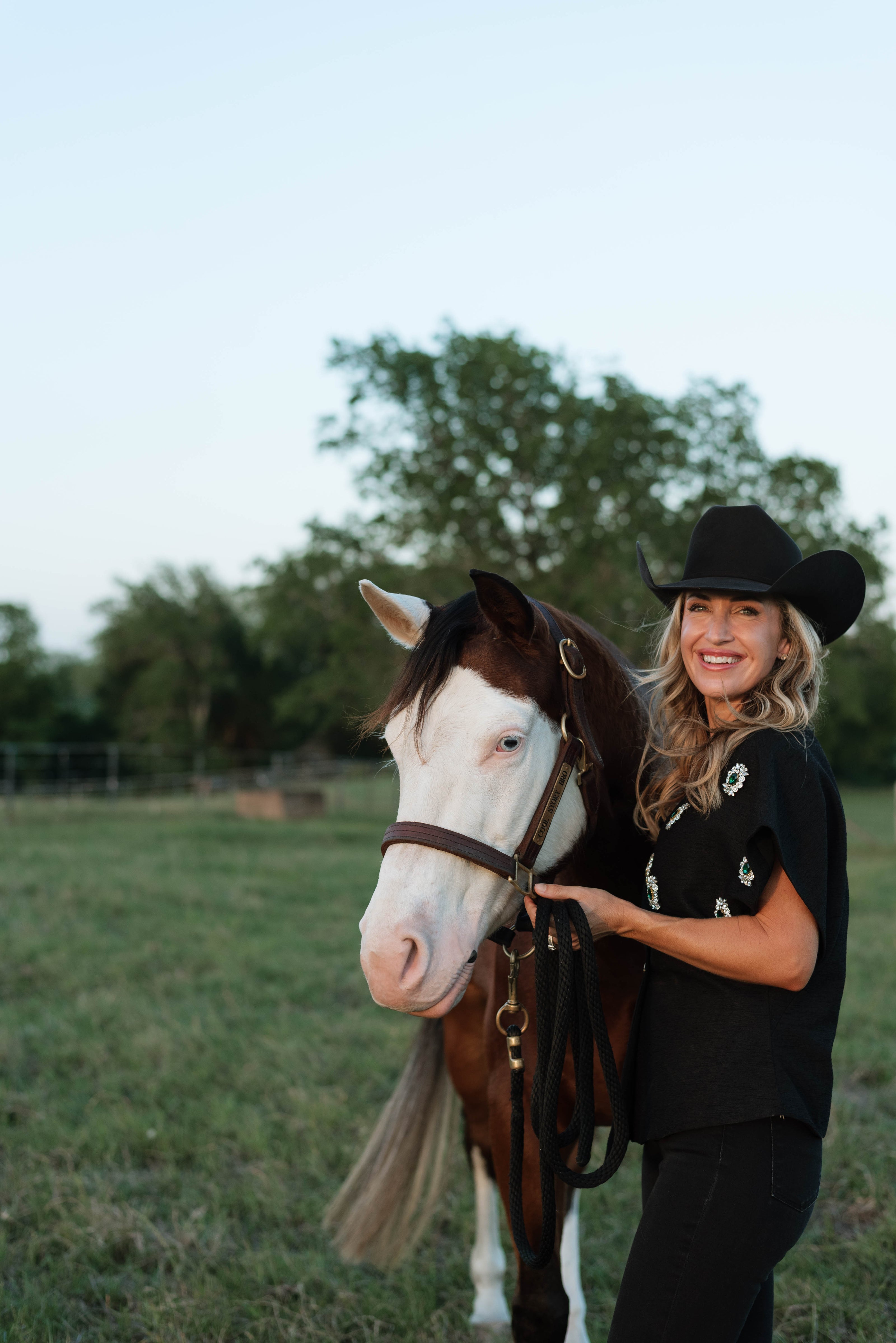 Trick Shot, a beginner-safe bay mare with reining training at Highbrow Ranch Texas