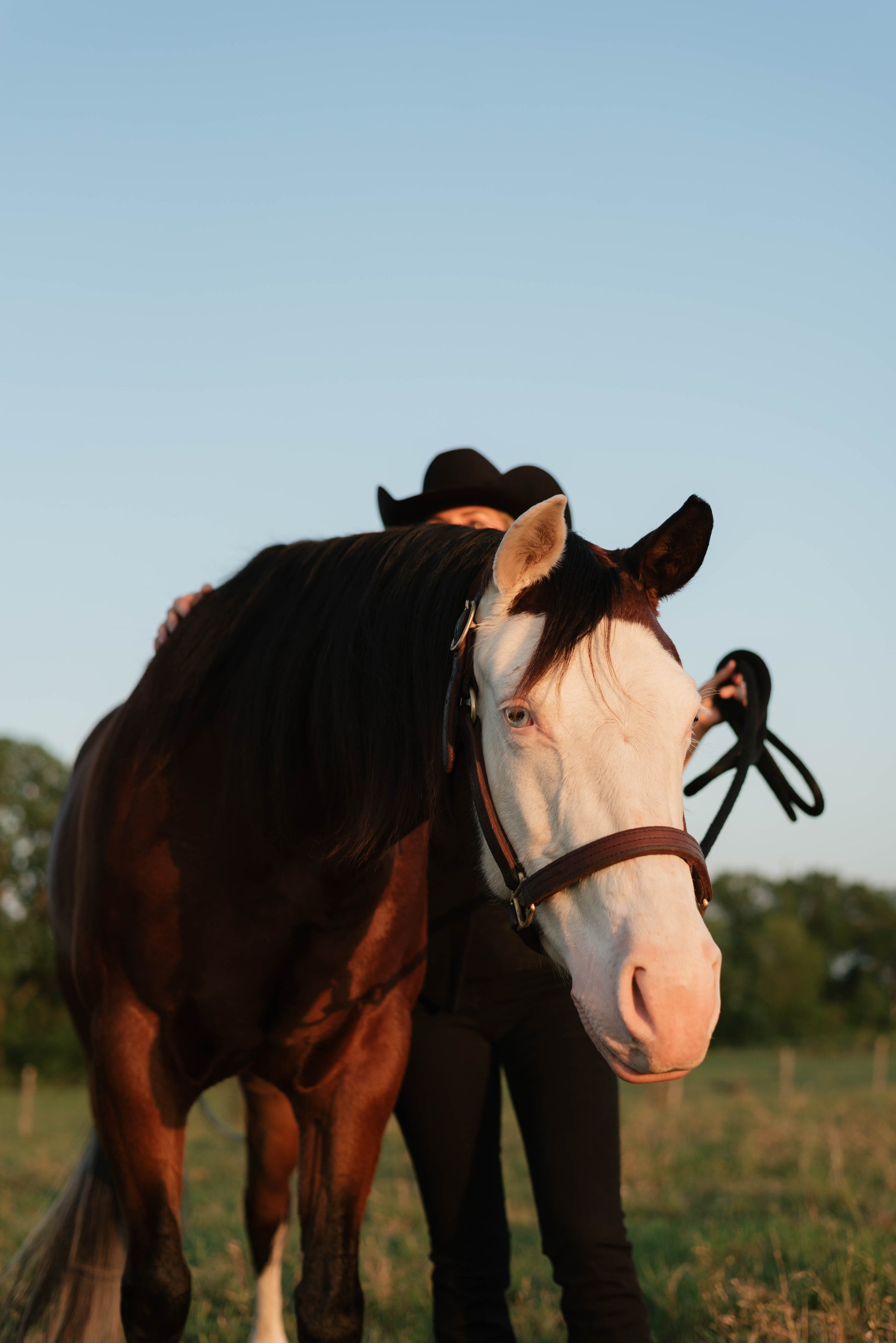 Trick Shot AQHA APHA mare for sale by Tricked Out Spook