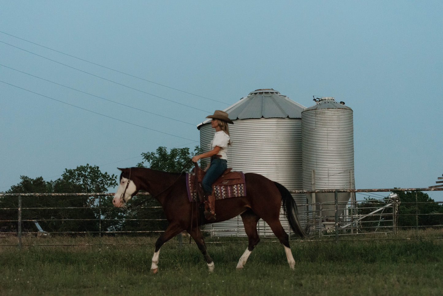 Trick Shot bay mare conformation shot at Highbrow Ranch in Caldwell Texas
